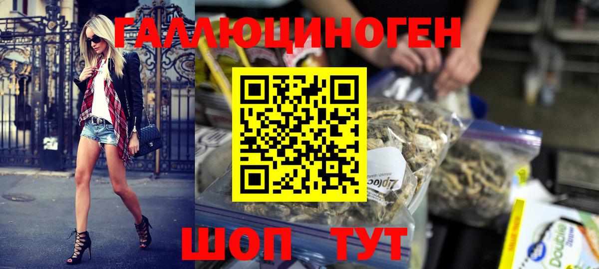 Псилоцибиновые грибы GOLDEN TEACHER Касимов
