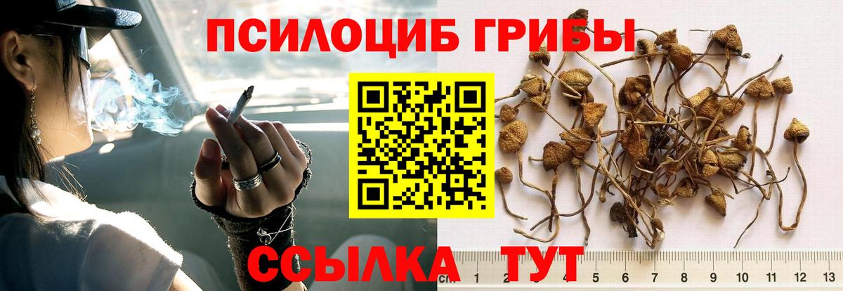 Касимов  Галлюциногенные грибы мухоморы  наркотики  Вход с VPN 